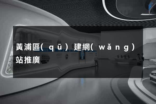 黃浦區(qū)建網(wǎng)站推廣