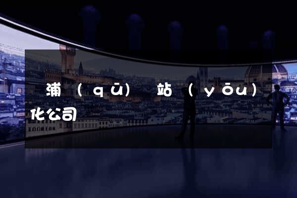 黃浦區(qū)網站優(yōu)化公司