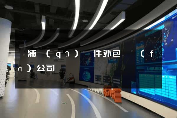 黃浦區(qū)軟件外包開發(fā)公司