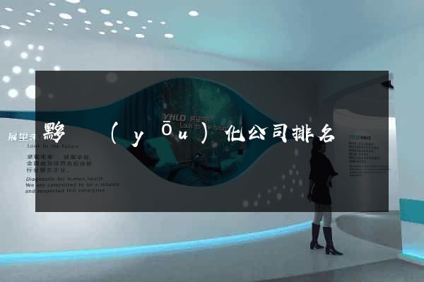 黟縣優(yōu)化公司排名