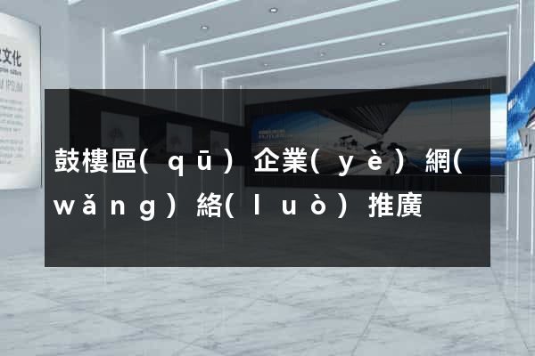 鼓樓區(qū)企業(yè)網(wǎng)絡(luò)推廣