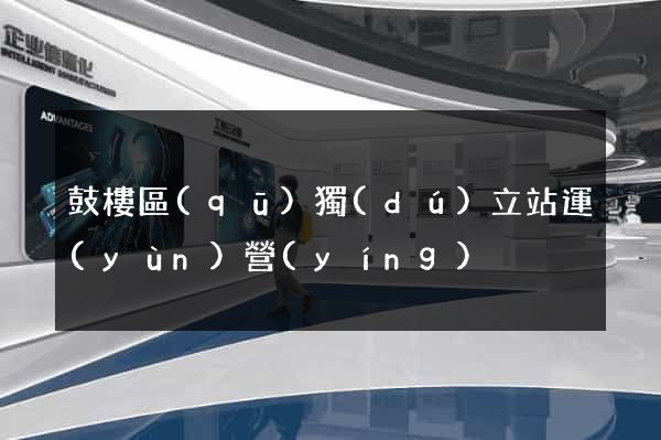 鼓樓區(qū)獨(dú)立站運(yùn)營(yíng)