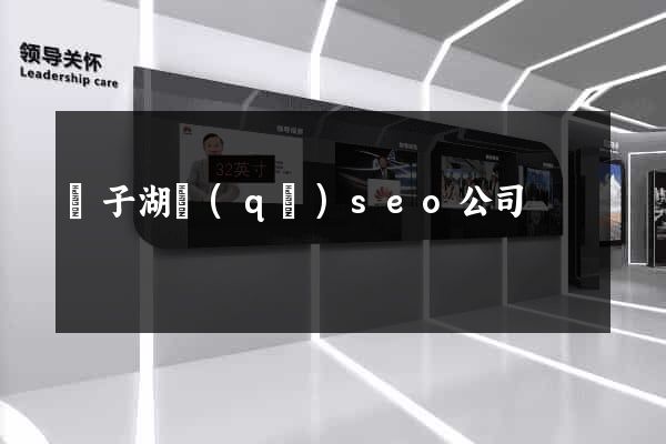 龍子湖區(qū)seo公司