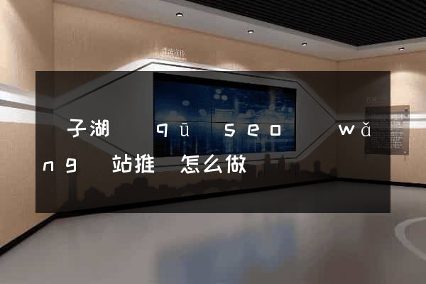 龍子湖區(qū)seo網(wǎng)站推廣怎么做