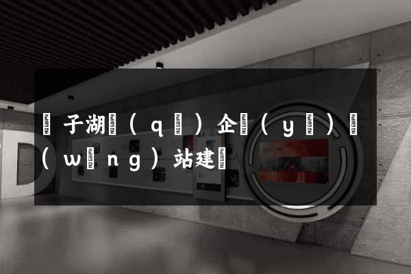 龍子湖區(qū)企業(yè)網(wǎng)站建設