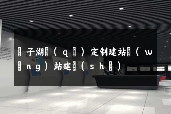 龍子湖區(qū)定制建站網(wǎng)站建設(shè)