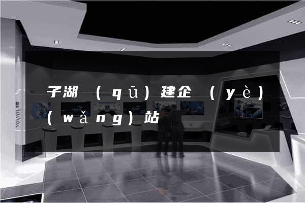 龍子湖區(qū)建企業(yè)網(wǎng)站
