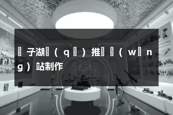 龍子湖區(qū)推廣網(wǎng)站制作