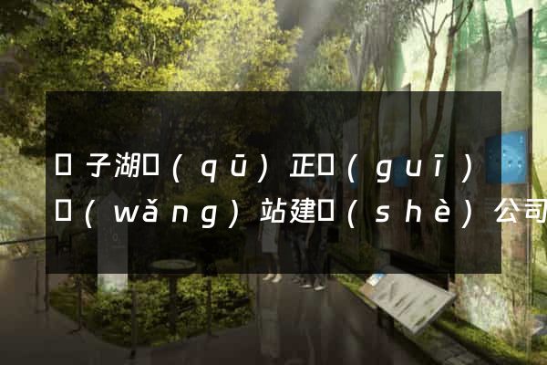 龍子湖區(qū)正規(guī)網(wǎng)站建設(shè)公司
