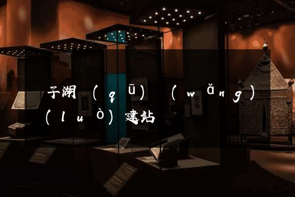 龍子湖區(qū)網(wǎng)絡(luò)建站