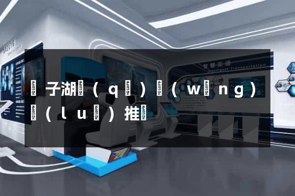 龍子湖區(qū)網(wǎng)絡(luò)推廣
