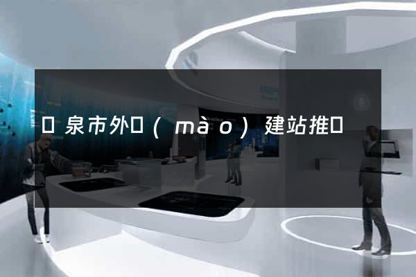 龍泉市外貿(mào)建站推廣