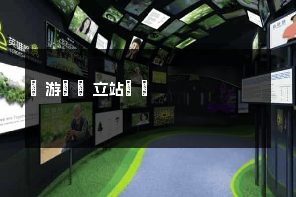 龍游縣獨立站運營