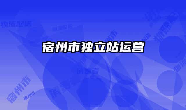 宿州市獨(dú)立站運(yùn)營(yíng)