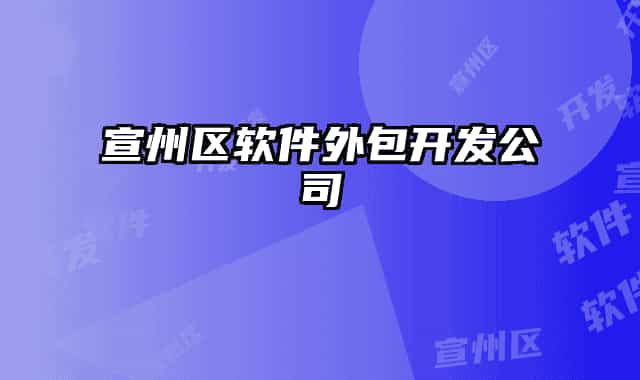 宣州區(qū)軟件外包開發(fā)公司