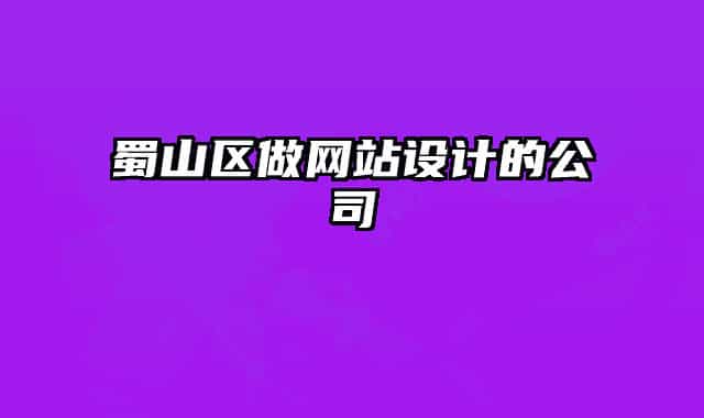 蜀山區(qū)做網(wǎng)站設(shè)計的公司