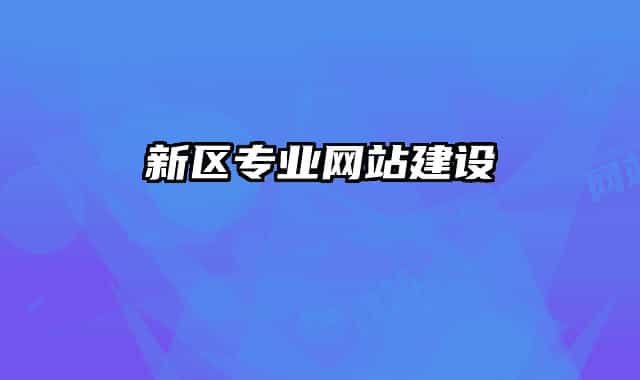 新區(qū)專業(yè)網站建設