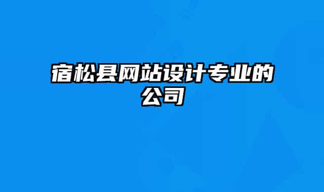 宿松縣網(wǎng)站設(shè)計專業(yè)的公司