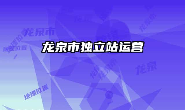 龍泉市獨(dú)立站運(yùn)營(yíng)