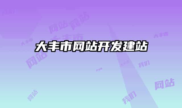 大豐市網(wǎng)站開發(fā)建站