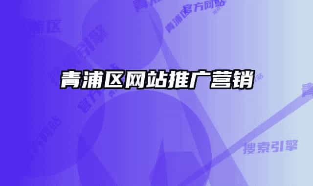 青浦區(qū)網(wǎng)站推廣營銷