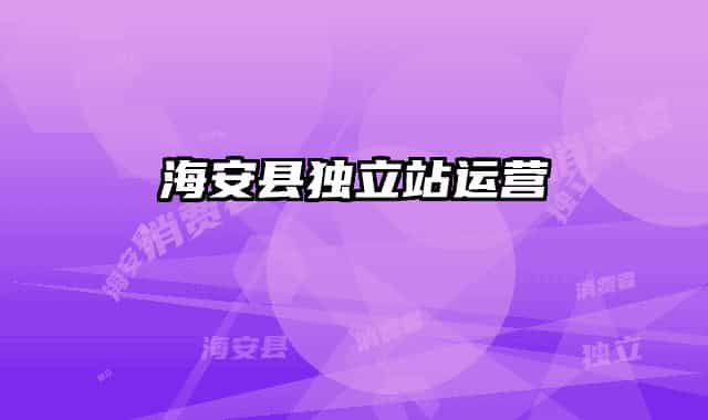 海安縣獨(dú)立站運(yùn)營(yíng)