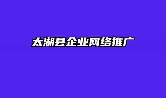太湖縣企業(yè)網(wǎng)絡推廣