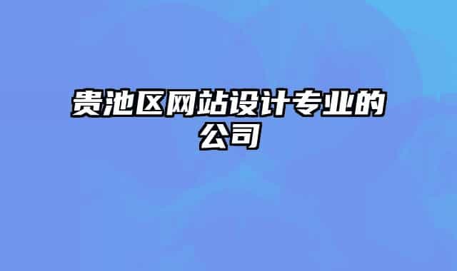 貴池區(qū)網(wǎng)站設計專業(yè)的公司