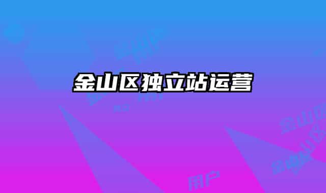 金山區(qū)獨立站運營