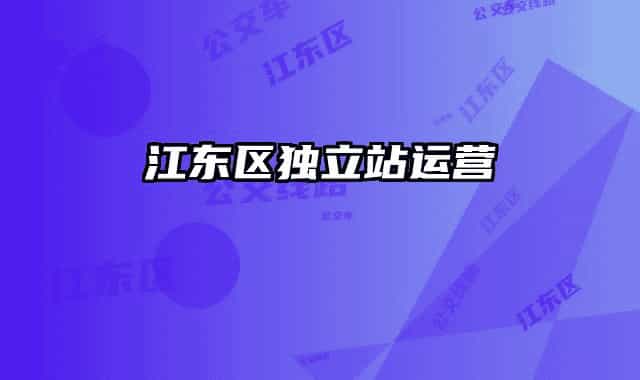 江東區(qū)獨(dú)立站運(yùn)營(yíng)
