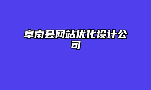 阜南縣網(wǎng)站優(yōu)化設計公司