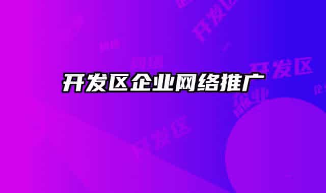開發(fā)區(qū)企業(yè)網(wǎng)絡推廣