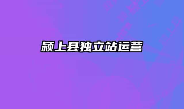 潁上縣獨(dú)立站運(yùn)營(yíng)