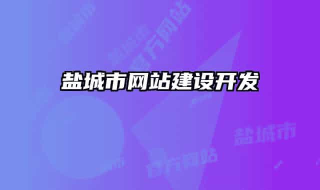 鹽城市網(wǎng)站建設(shè)開發(fā)