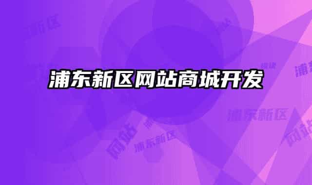 浦東新區(qū)網站商城開發(fā)
