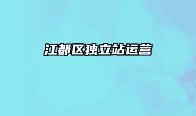 江都區(qū)獨立站運營