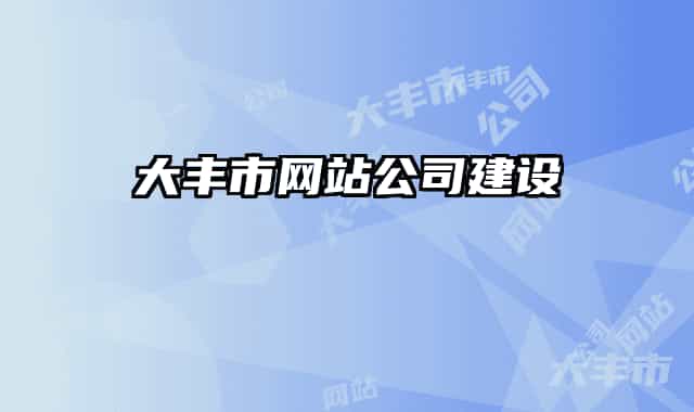 大豐市網(wǎng)站公司建設(shè)