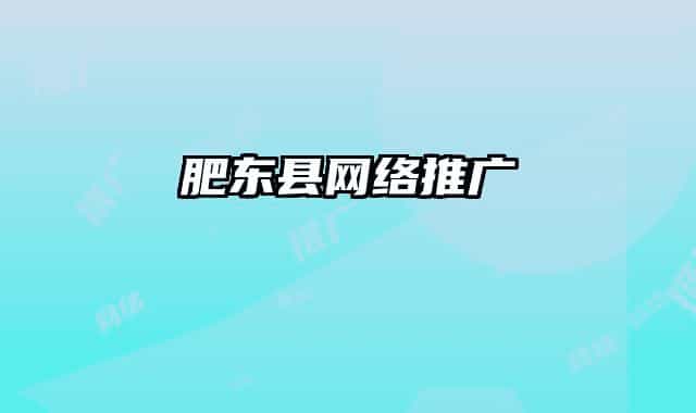 肥東縣網(wǎng)絡(luò)推廣
