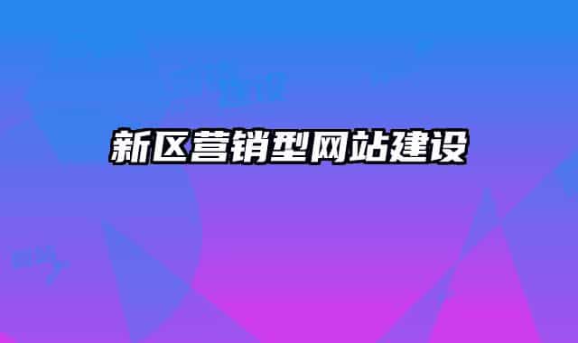 新區(qū)營銷型網站建設