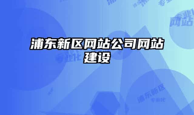 浦東新區(qū)網(wǎng)站公司網(wǎng)站建設(shè)