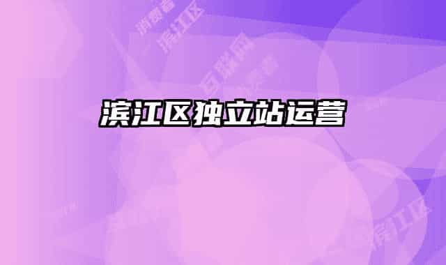 濱江區(qū)獨(dú)立站運(yùn)營