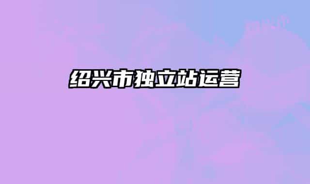 紹興市獨(dú)立站運(yùn)營
