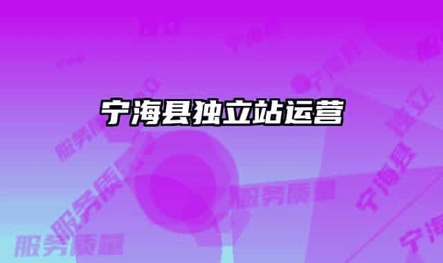 寧?？h獨(dú)立站運(yùn)營