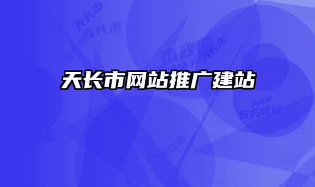 天長市網(wǎng)站推廣建站