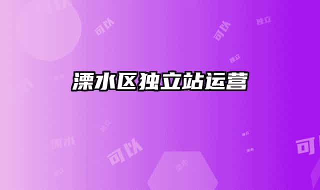溧水區(qū)獨立站運營