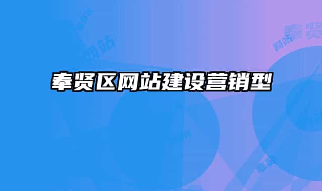 奉賢區(qū)網(wǎng)站建設(shè)營(yíng)銷型