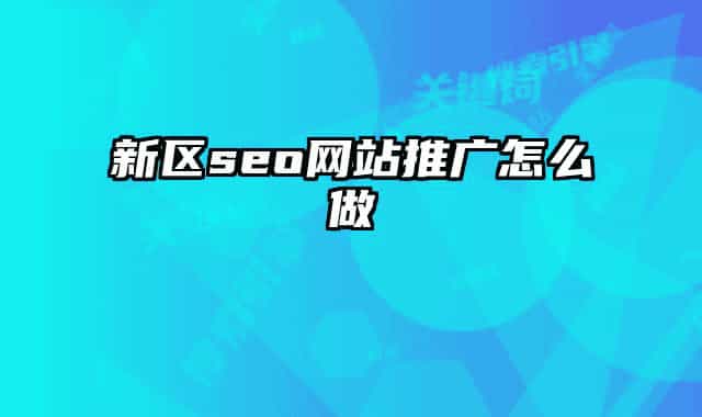 新區(qū)seo網站推廣怎么做