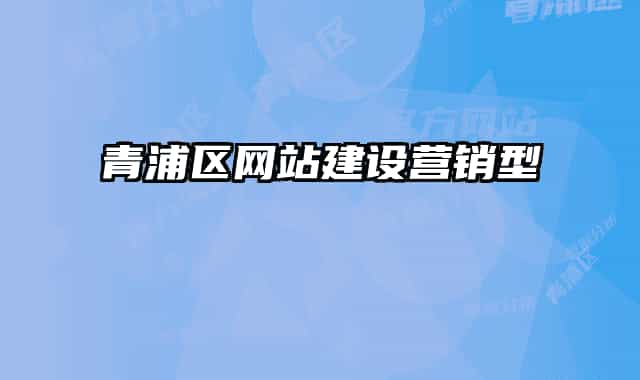 青浦區(qū)網(wǎng)站建設(shè)營(yíng)銷型