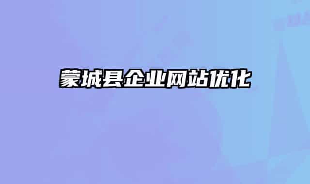 蒙城縣企業(yè)網(wǎng)站優(yōu)化