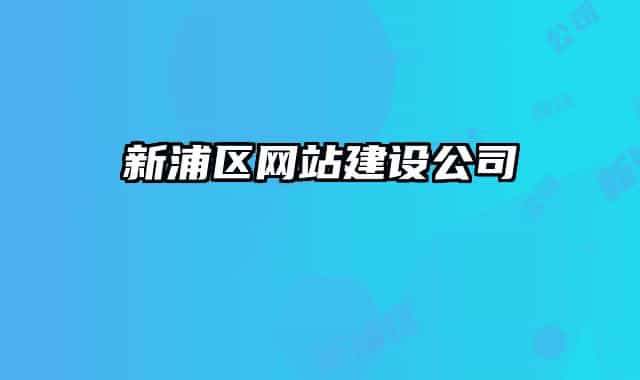 新浦區(qū)網(wǎng)站建設公司